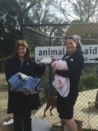 Conveyancing Knox Blanket Drive